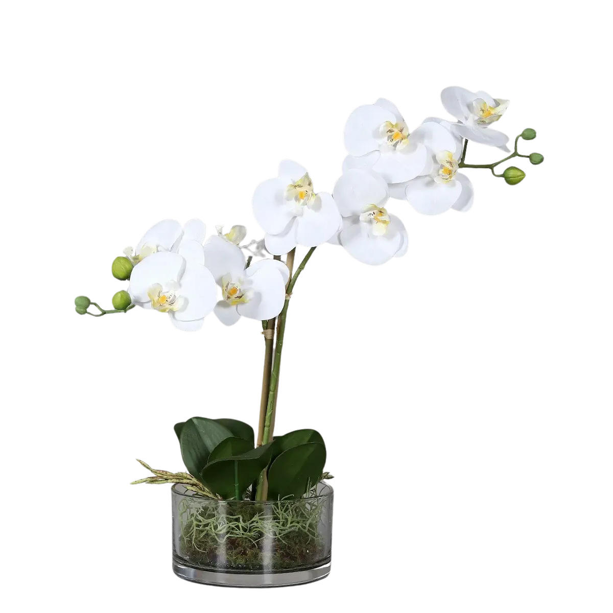 KUNSTBLUME Künstliche Orchidee - Saitama 40 cm in Glasschale - Weiß, Kunststoff (40cm) - aplanta