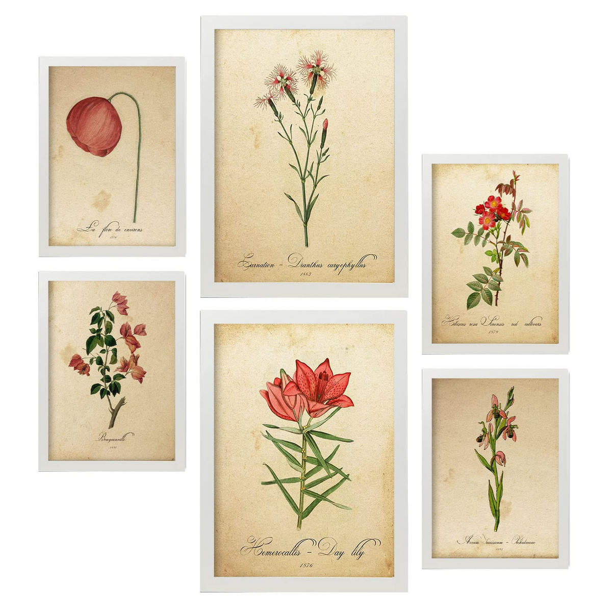 POSTER Set Mit 6 Botanische rote Blume Größe A3 & A4 Weißer Rahmen - Weiß, Papier (29.7/1cm) - Nacnic