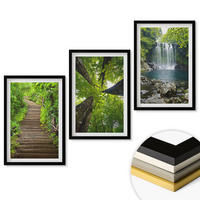 WANDBILDER 3er-Set - 40x60 cm Schwarzer Rahmen - Pfad Wald Wasserfall Vegetation - Schwarz, Kunststoff (40/60cm) - ArtPrintCave