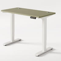 SCHREIBTISCH Elektrisch Höhenverstellbarer HomePro 120x60cm Weiß/Grün mit Memory-Funktion, Anti-Kollisions Technologie - Weiß/Grün, Holzwerkstoff (60/120/72cm) - Desktronic