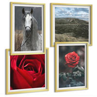 BILDER SET 4er Set - 50x50 cm & 40x60 cm Goldrahmen - Rote Rosen auf pferdegrauem Hintergrund - Goldfarben, Kunststoff (50/50cm) - TULUP