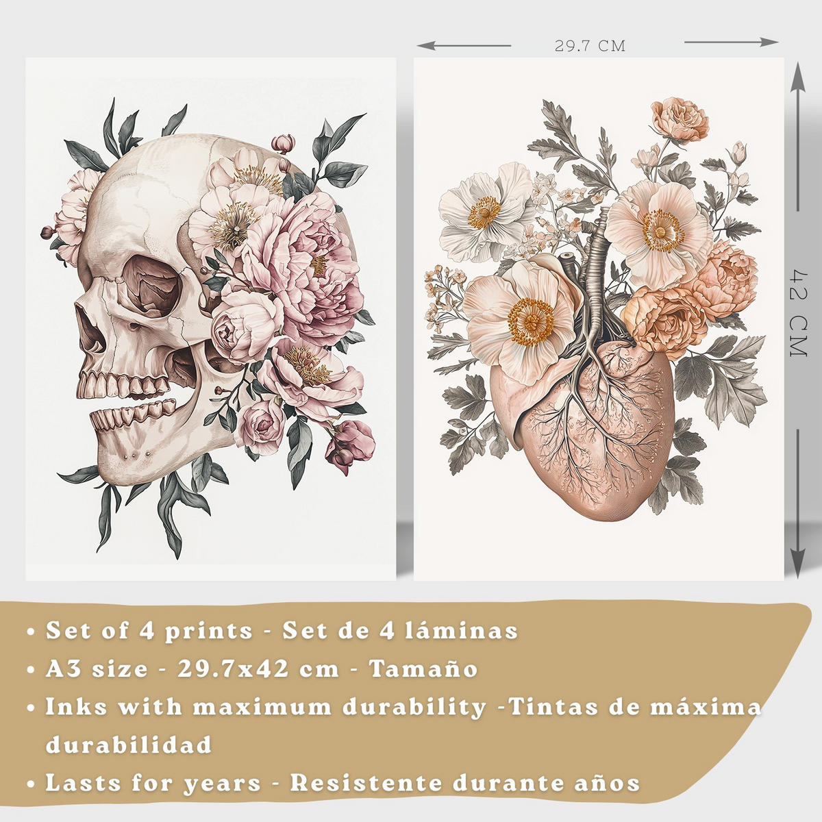 POSTER Set aus 4 Anatomie Mensch Florale Drucke und mit Schädel Herz Lungen und Skelett Botanische Aquarell Illustration dekoration Größe Rahmenlos A3 - Klar, Papier (29.7/42/3cm) - Nacnic