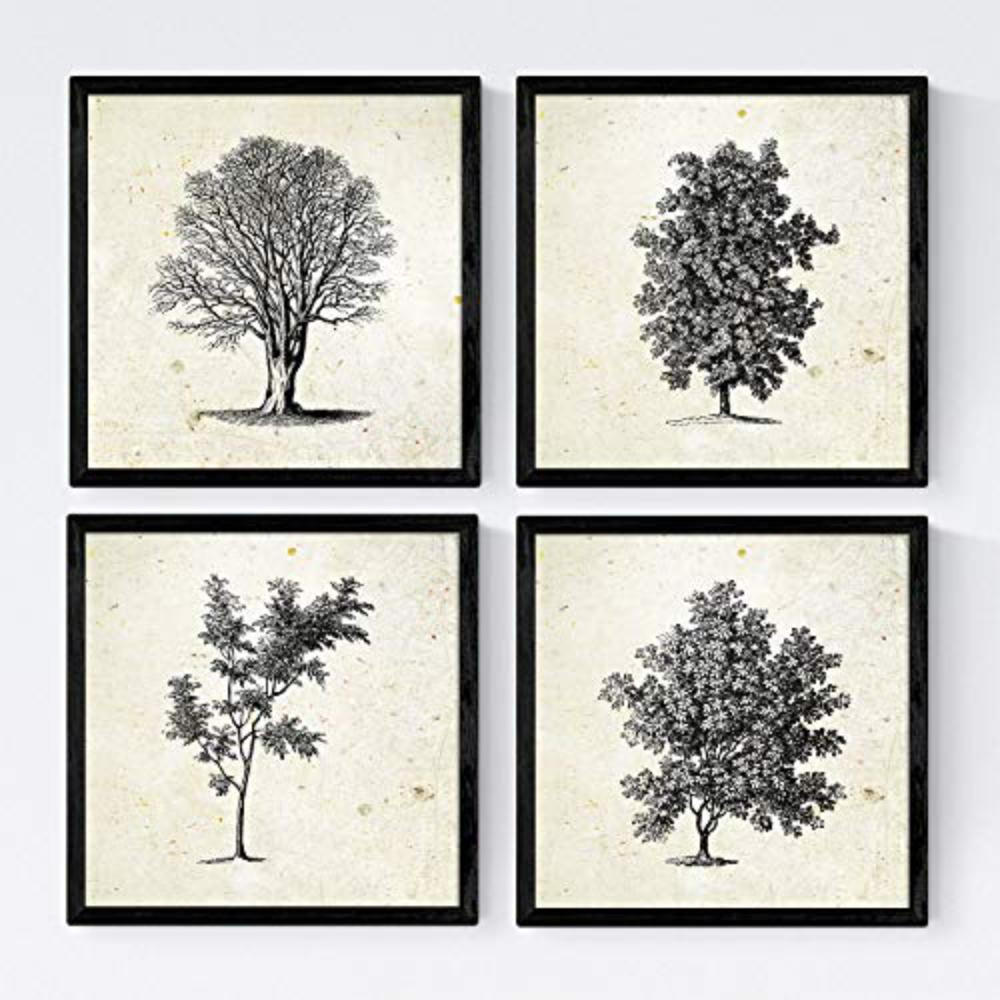 POSTER Set mit 4 Blättern der Bäume ohne und mit Blatt, 20x20cm Rahmenlos - Klar, Papier (20/3cm) - Nacnic