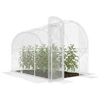 GEWÄCHSHAUS DE-12064 6 m² mit Scharniertür Grün - Transparent, Kunststoff (200/195/300cm) - ComfortXL