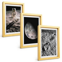 BILDER SET 3er Set - 20x30 cm Goldrahmen - Astronautenfoto vom Mond - Goldfarben, Kunststoff (20/30cm) - TULUP