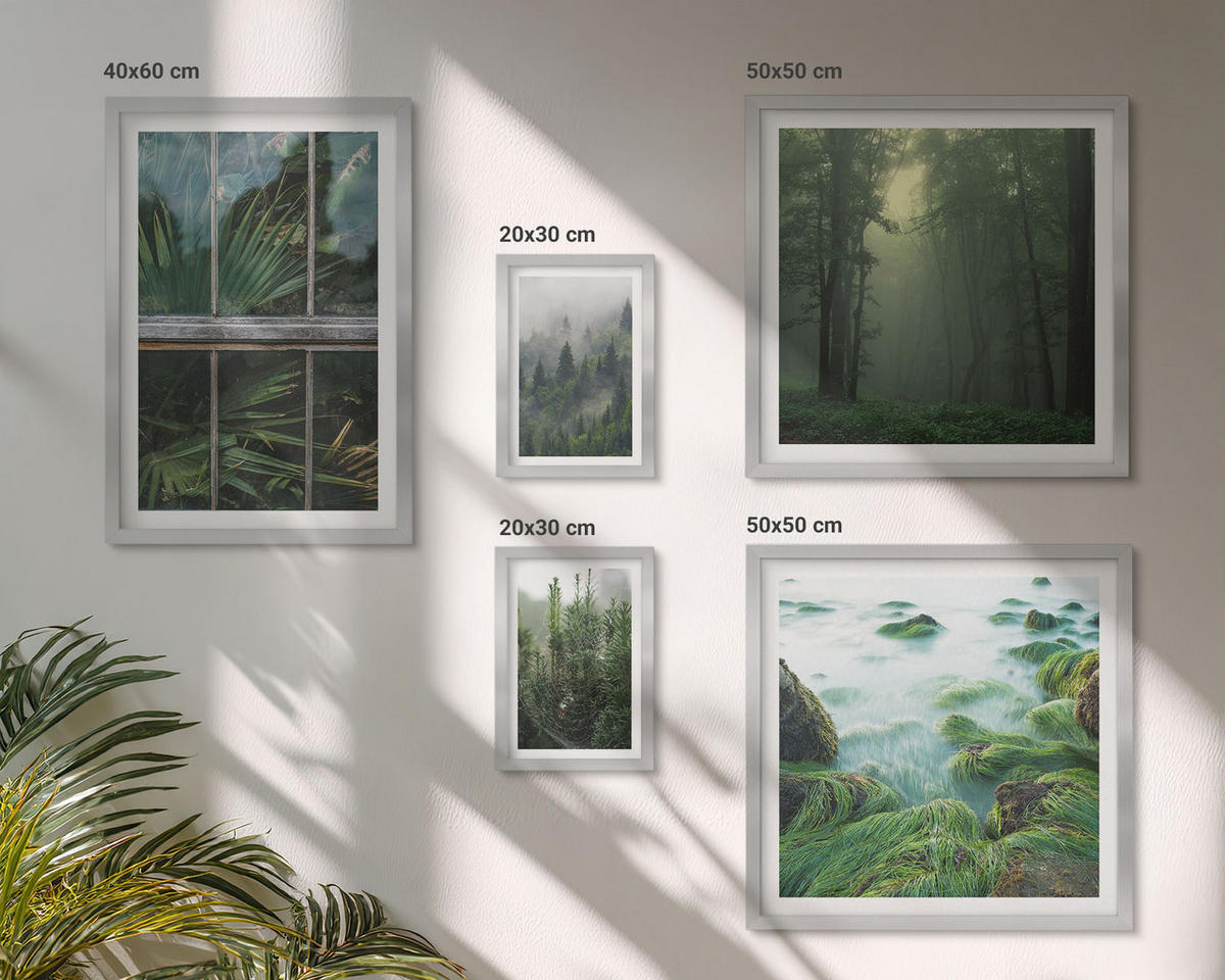 BILDER SET 5er Set - 50x50 cm & 20x30 cm & 40x60 cm Silberner Rahmen - Nahaufnahmen von Blättern sukkulenter Pflanzen - Silberfarben, Kunststoff (40/60cm) - TULUP