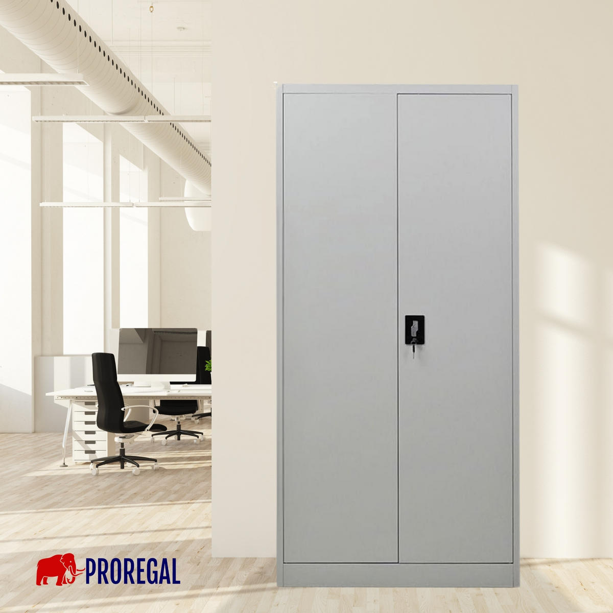 FLÜGELTÜRENSCHRANK Elephant komplett montiert 180x80x40cm 4 Ebenen Lichtgrau - Hellgrau, Metall (80/180/40cm) - PROREGAL