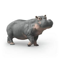 NILPFERDFIGUR - Grün, Kunststoff (12.8/6/4.7cm) - Schleich