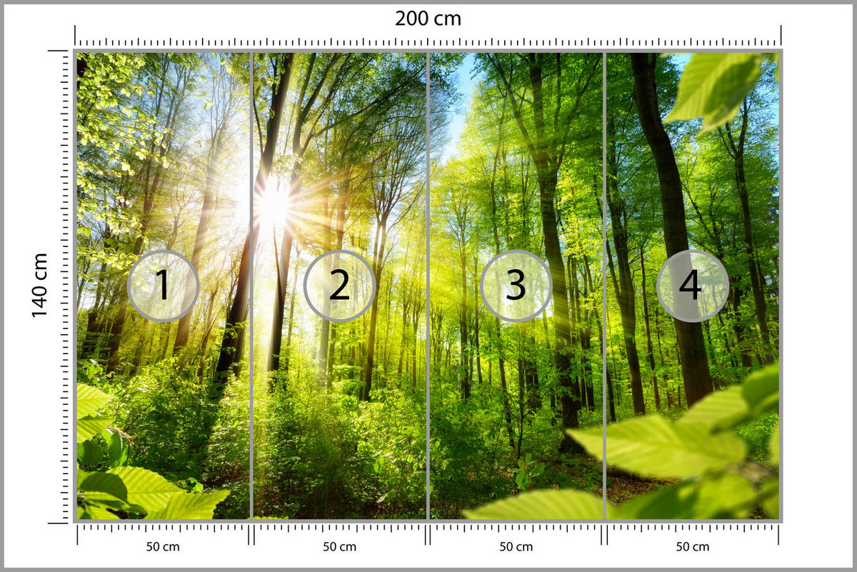 FOTOTAPETE für Wohnzimmer Sonnenaufgang zwischen Bäumen Wald 200x140 - Gelb/Grün, Papier (200/140cm) - Muralo