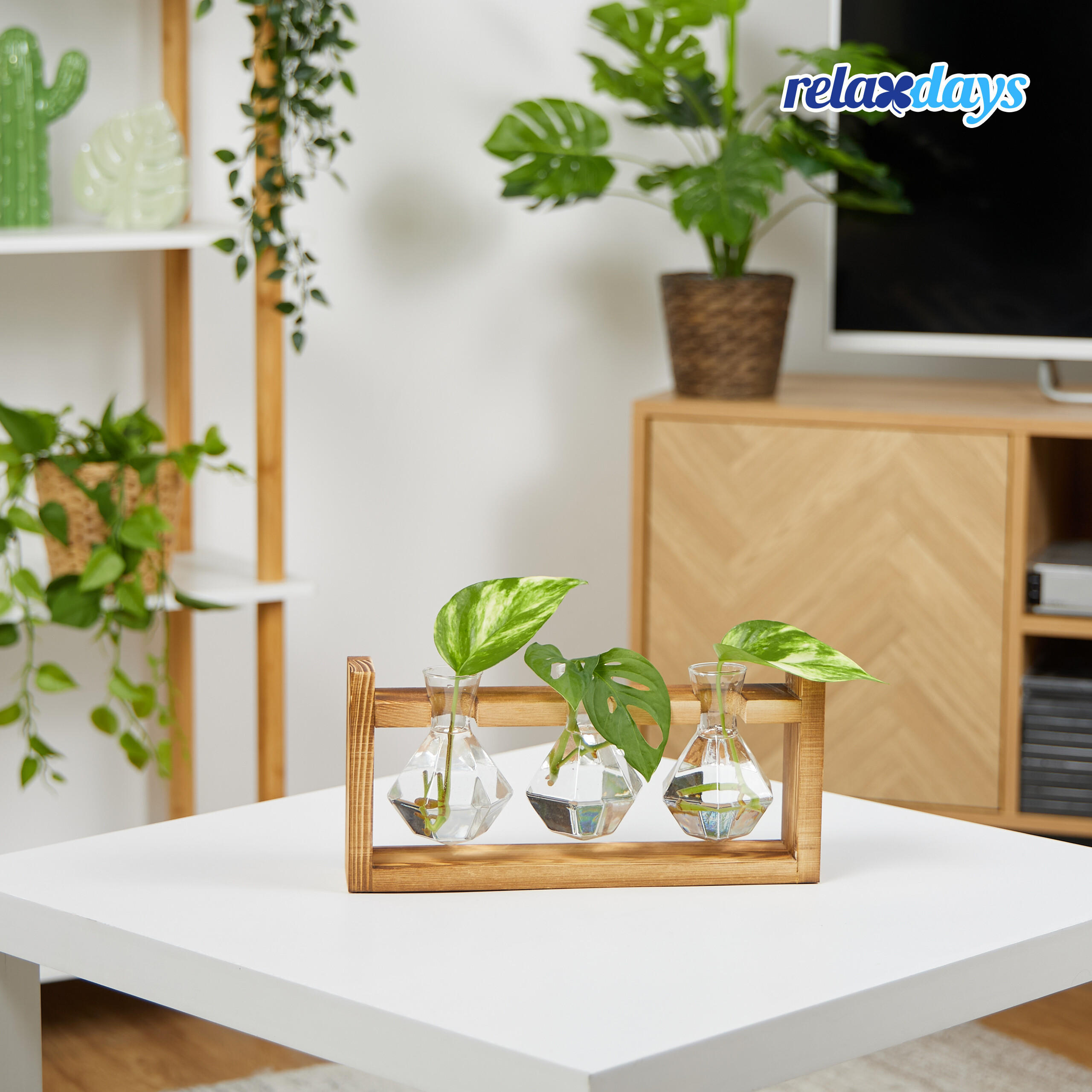 REAGENZGLAS-VASE - Multicolor, Glas/Holz (13cm) - Relaxdays