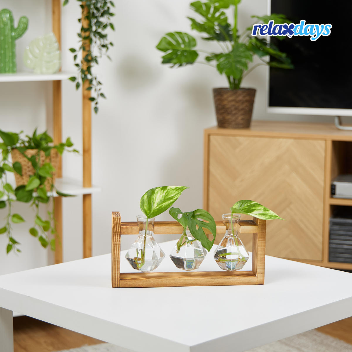 REAGENZGLAS-VASE - Multicolor, Glas/Holz (13cm) - Relaxdays