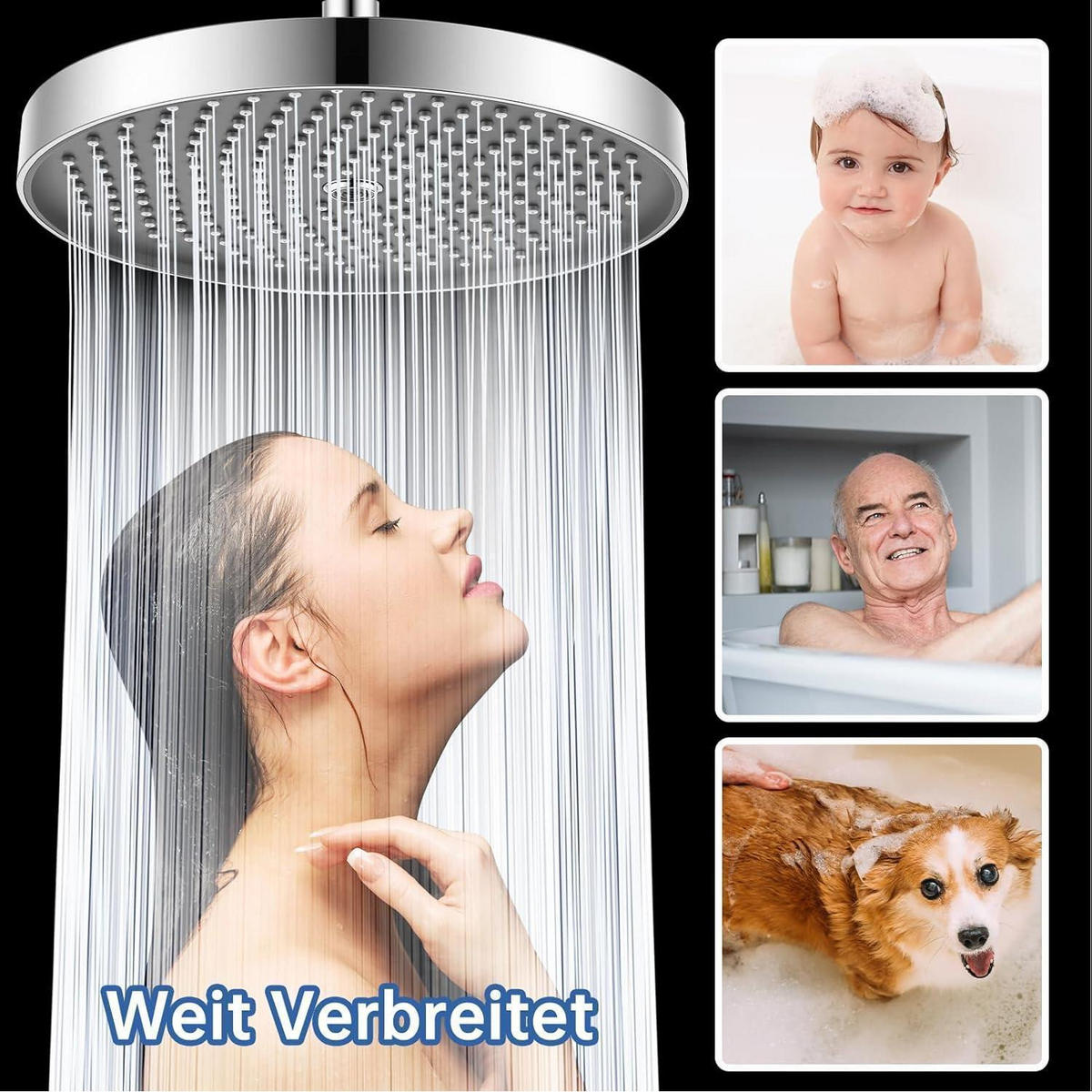 DUSCHKOPF 10 Zoll Regendusche Rund Chrom Schwarz - Silberfarben, Metall (18/12.7/26cm)