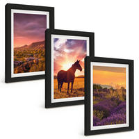 BILDER SET 3er Set - 20x30 cm Schwarzer Rahmen - Berglandschaft mit einem Pferd - Schwarz, Kunststoff (20/30cm) - TULUP
