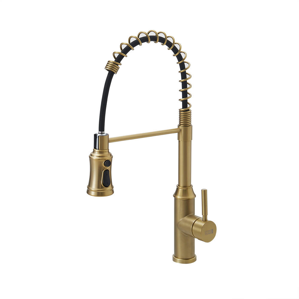 KÜCHENARMATUR Ausziehbar Federbrause Einhandgriff Gold - Goldfarben, Metall (24/53/5.5cm) - Livingandhome