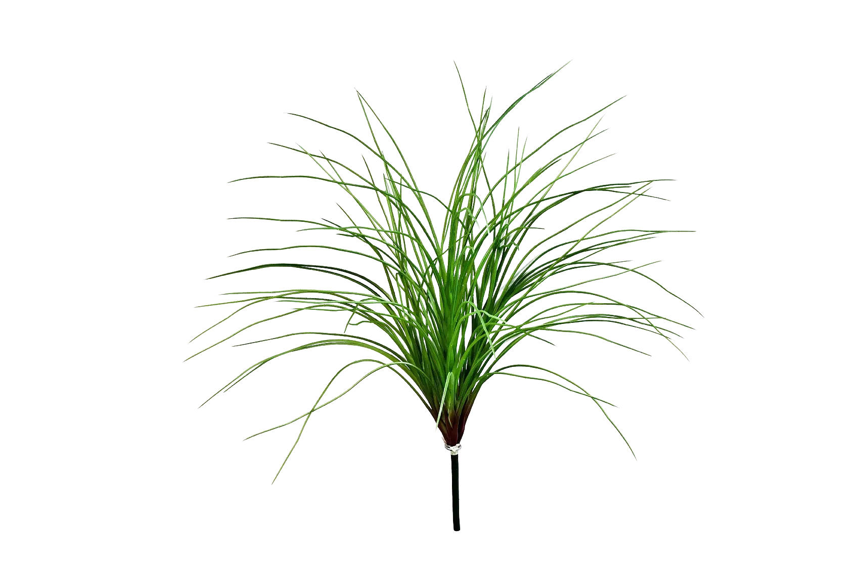 KÜNSTLICHES Waldgras - Moritz 55 cm - Grün, Kunststoff (55cm) - aplanta