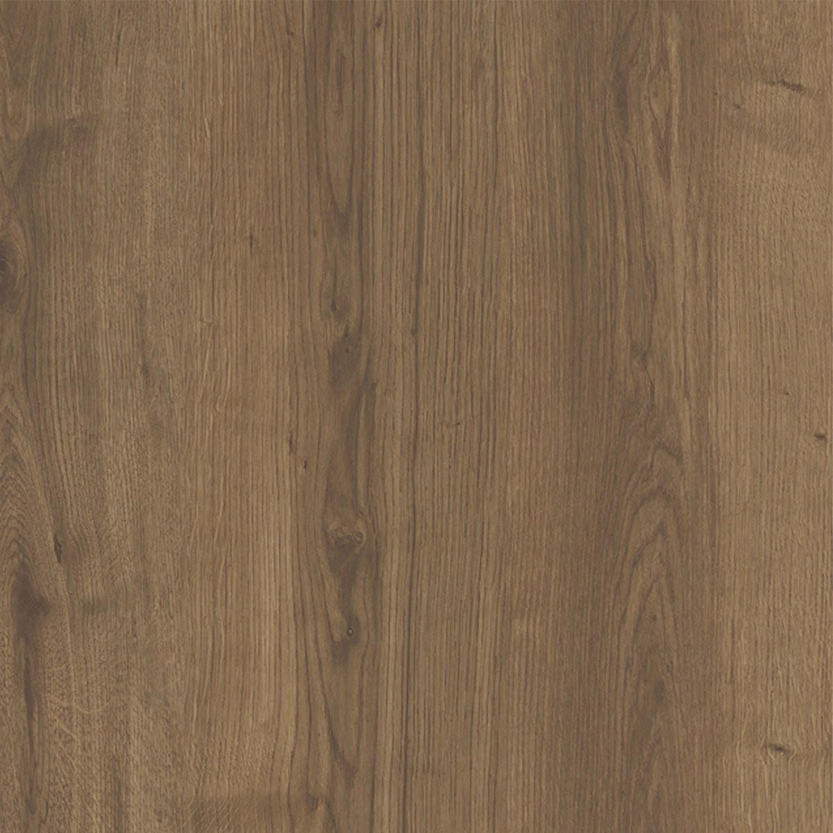SCHUHSCHRANK 4 Türen L105 cm - Dude - Wildeiche, Holzwerkstoff (26/118.5/105cm) - Calicosy