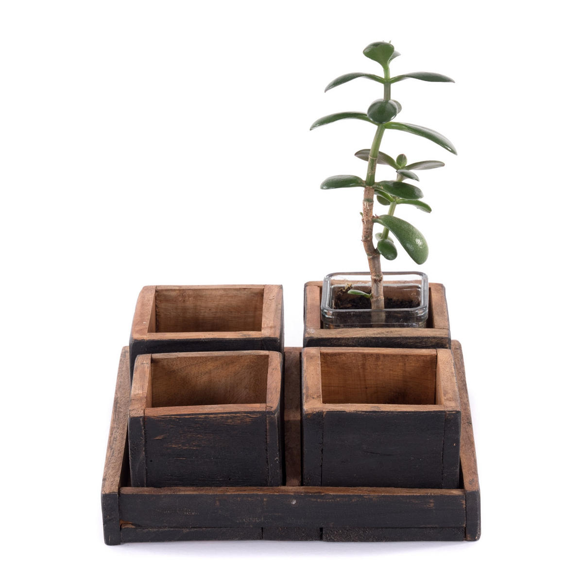 KISTEN-SET Cubo 5-tlg. Massivholz 04 schwarz-natur - Graubraun, Holz (4cm) - DESIGN DELIGHTS