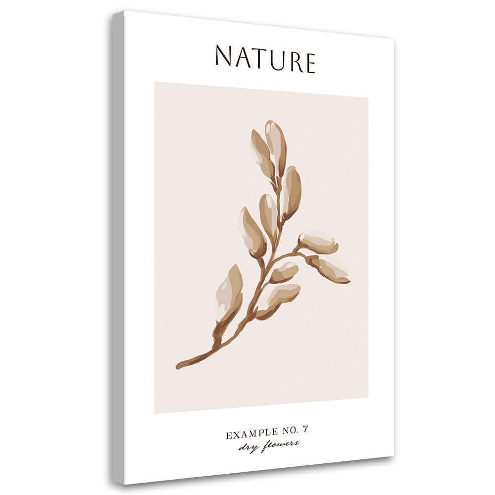 WANDBILD trockene blume natur - Beige, Textil (40/60cm) - Feeby