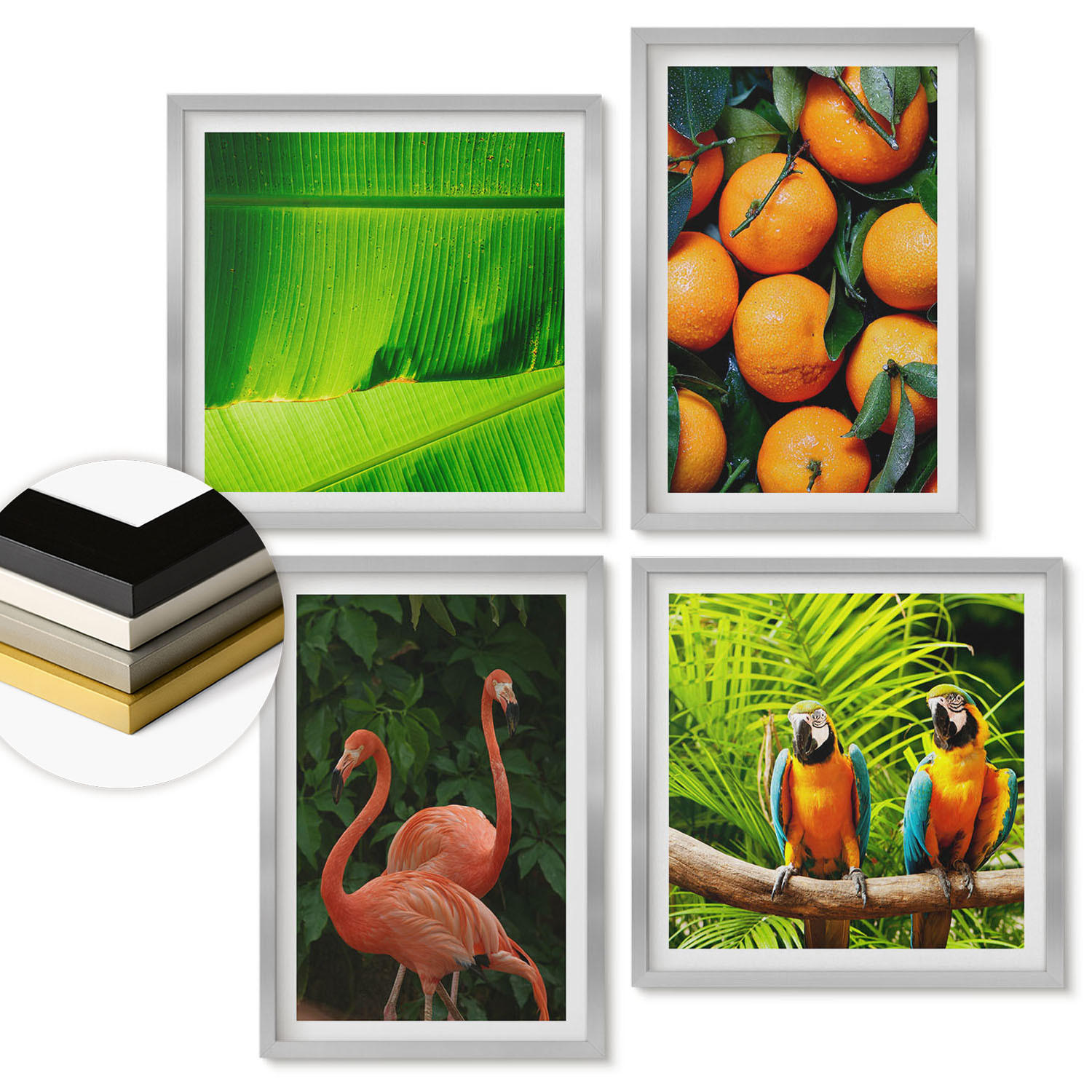WANDBILDER 4er Set - 50x50 cm & 40x60 cm Silberner Rahmen - Fruchtige Akzente der Tropen - Silberfarben, Kunststoff (50/50cm) - ArtPrintCave