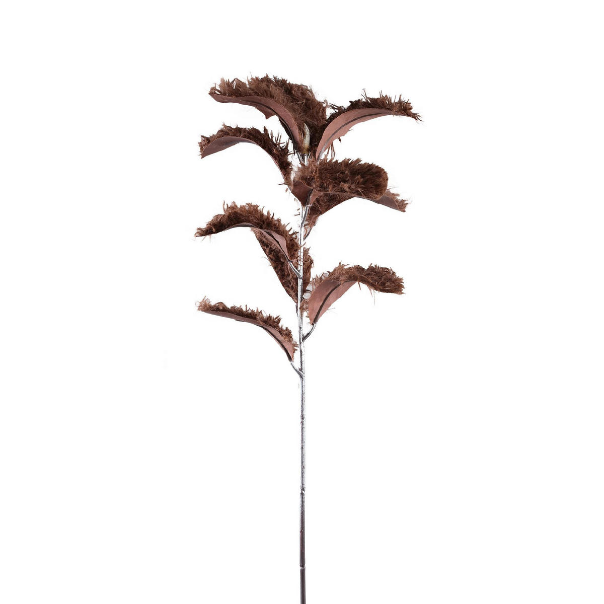 KUNSTBLATT Leaves Braun 36/26/84cm - Braun, Kunststoff (26/84/36cm) - PTMD Collection