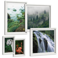BILDER SET 5er Set - 50x50 cm & 20x30 cm & 40x60 cm Weißer Rahmen - Tiger Wasserfall Flamingos Natur - Weiß, Kunststoff (40/60cm) - TULUP
