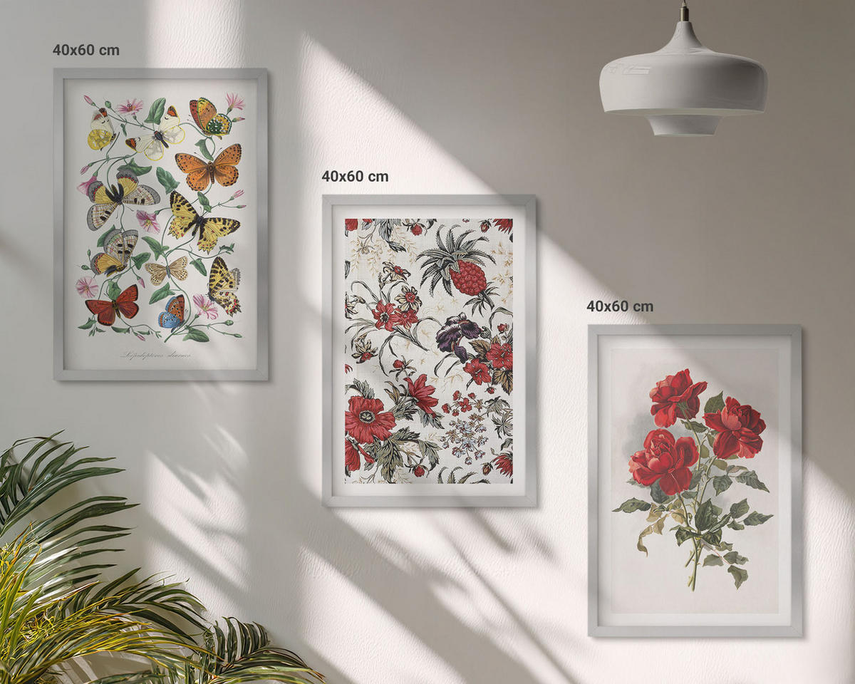 WANDBILDER 3er Set - 40x60 cm Silberner Rahmen - Schmetterlinge, Blumen, rote Rosen - Silberfarben, Kunststoff (40/60cm) - ArtPrintCave