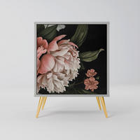 SIDEBOARD LUSH ELEGANCE, Grau, 57,5x42x75,5 cm, Goldfarbene Metallfüße - Goldfarben/Multicolor, Holzwerkstoff/Metall (57.5/75.5/42cm) - SpaceRebels