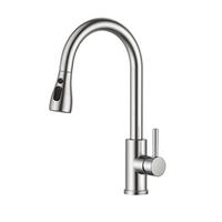 KÜCHENARMATUR Ausziehbar 43 x 25 x 6 silber - Grau, Metall (63/10/34cm) - Vallsero