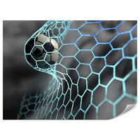 FOTOTAPETE für Jugendzimmer Fußball im Tor Ziel Sport Ball 250x175 - Schwarz/Weiß, Papier (250/175cm) - Muralo