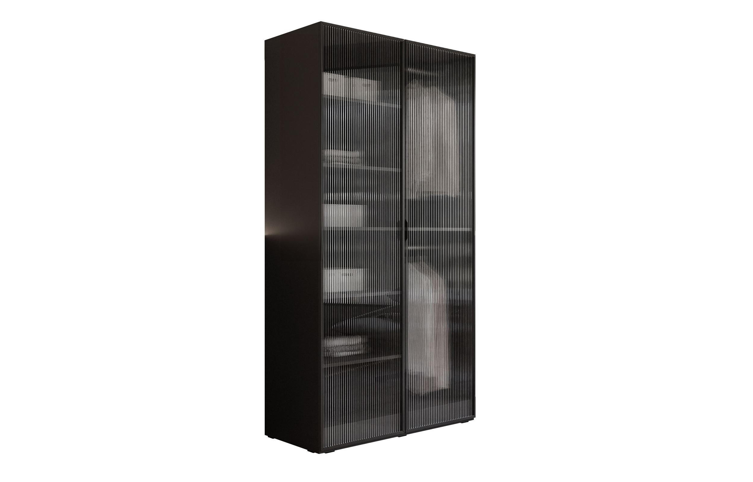 Lookway Kleiderschrank Schwarz, Transparent 101x200x49 cm