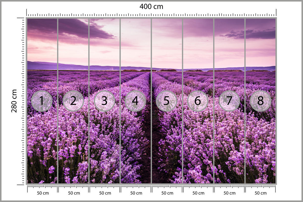 FOTOTAPETE für Schlafzimmer Lila Lavendel Wiese Harmonisch Romantisch 400x280 - Violett/Lila, Papier (400/280cm) - Muralo