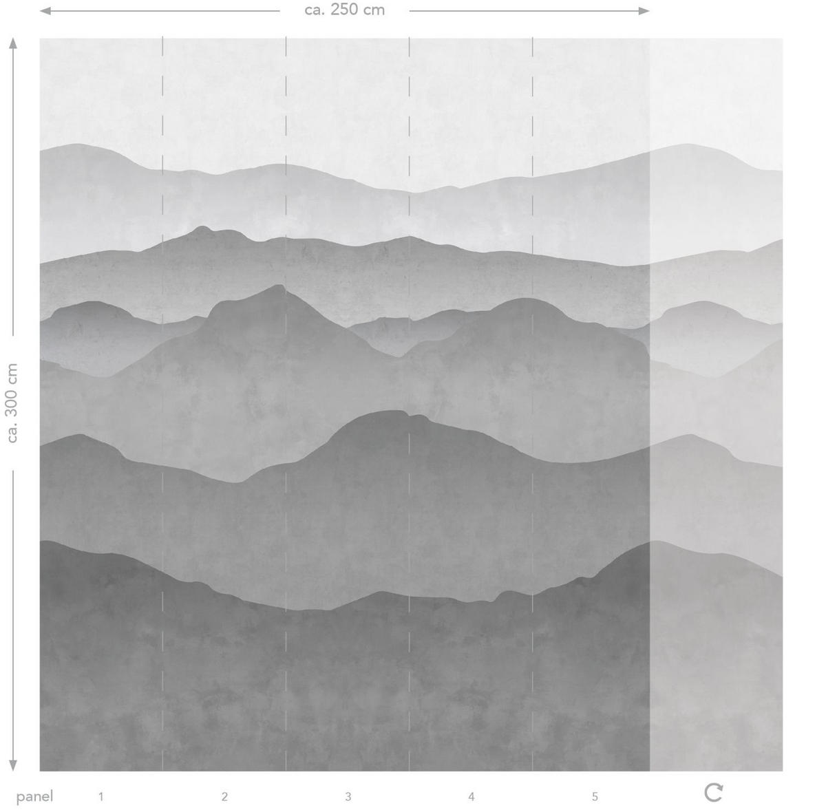 FOTOTAPETE Berglandschaft 250 x 300 cm - Grau, Papier (250/300cm) - ESTAhome