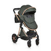 KINDERWAGEN Alma grün Sportsitz Tragetasche umbaubar Wickeltasche Sitz umkehrbar - Grün, Metall (90/60/120cm) - Moni