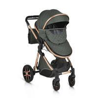 KINDERWAGEN Alma grün Sportsitz Tragetasche umbaubar Wickeltasche Sitz umkehrbar - Grün, Metall (90/60/120cm) - Moni