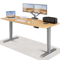 SCHREIBTISCH Elektrisch Höhenverstellbarer HomePro 200x80cm Grau/Eiche mit Memory-Funktion, Anti-Kollisions Technologie - Eichefarben/Grau, Holzwerkstoff (80/200/62cm) - Desktronic