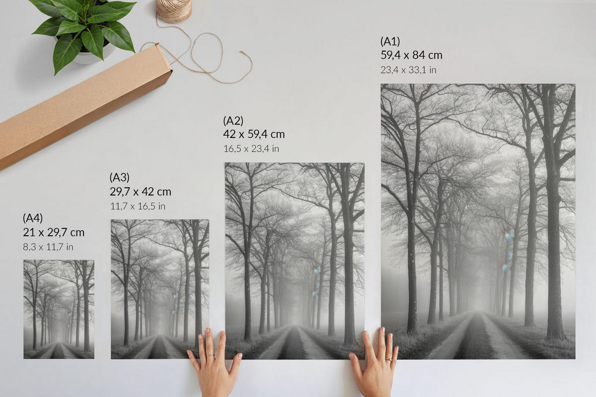 POSTER - 29x42 cm - Nevara - Nebel auf der Straße - Schwarz, Textil (29/42/0.1cm) - TULUP