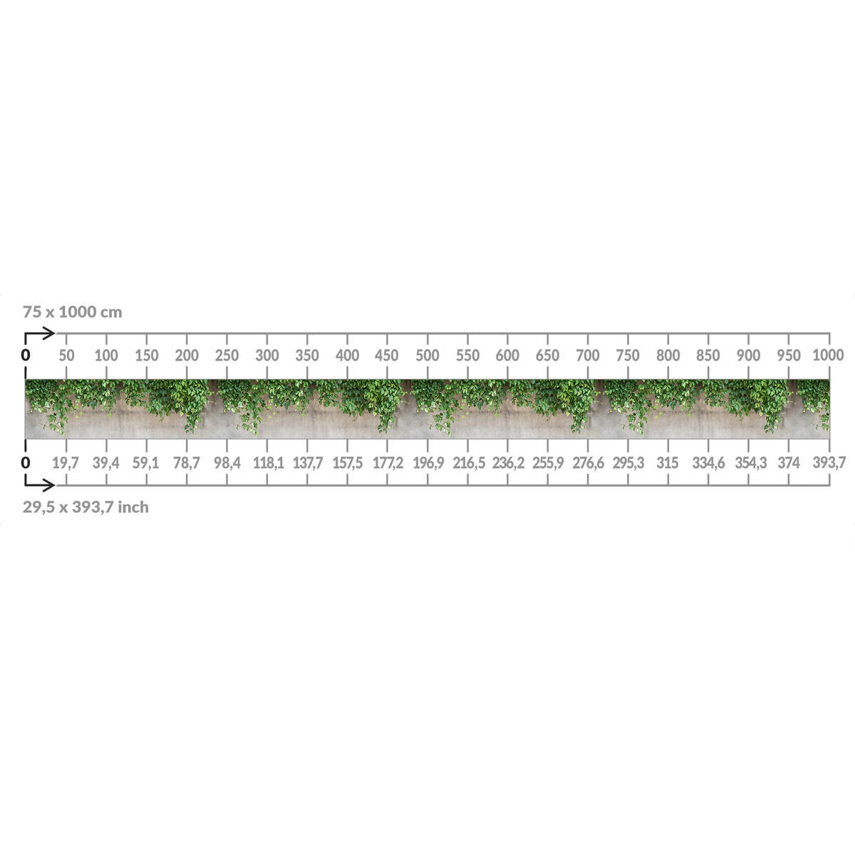 BALKON SICHTSCHUTZ Mauer mit Efeu 600/75 cm - Grün, Kunststoff (600/75cm) - Bilderwelten