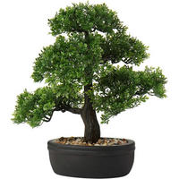 KUNSTBONSAI Podocarpus mit Keramik-Übertopf Schwarz 35.8 cm - Grün, Kunststoff (36cm)