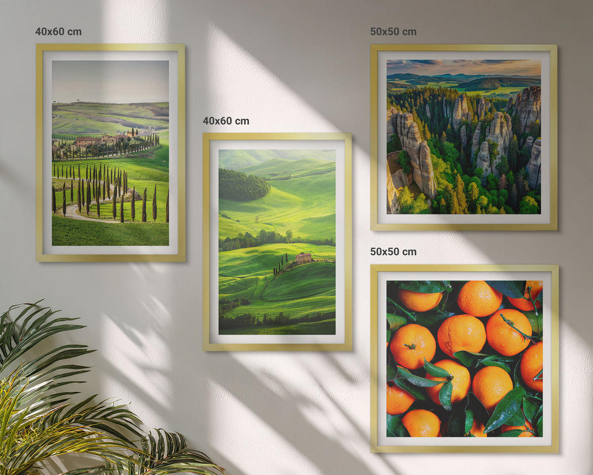 BILDER SET 4er Set - 50x50 cm & 40x60 cm Goldrahmen - Italienische Landschaft Orangen Natur - Goldfarben, Kunststoff (50/50cm) - TULUP