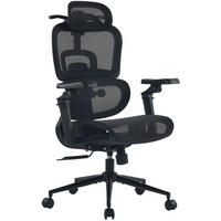 CHEFSESSEL Netzstoff Schwarz - Schwarz, Textil/Metall (71/109/72cm) - CLP