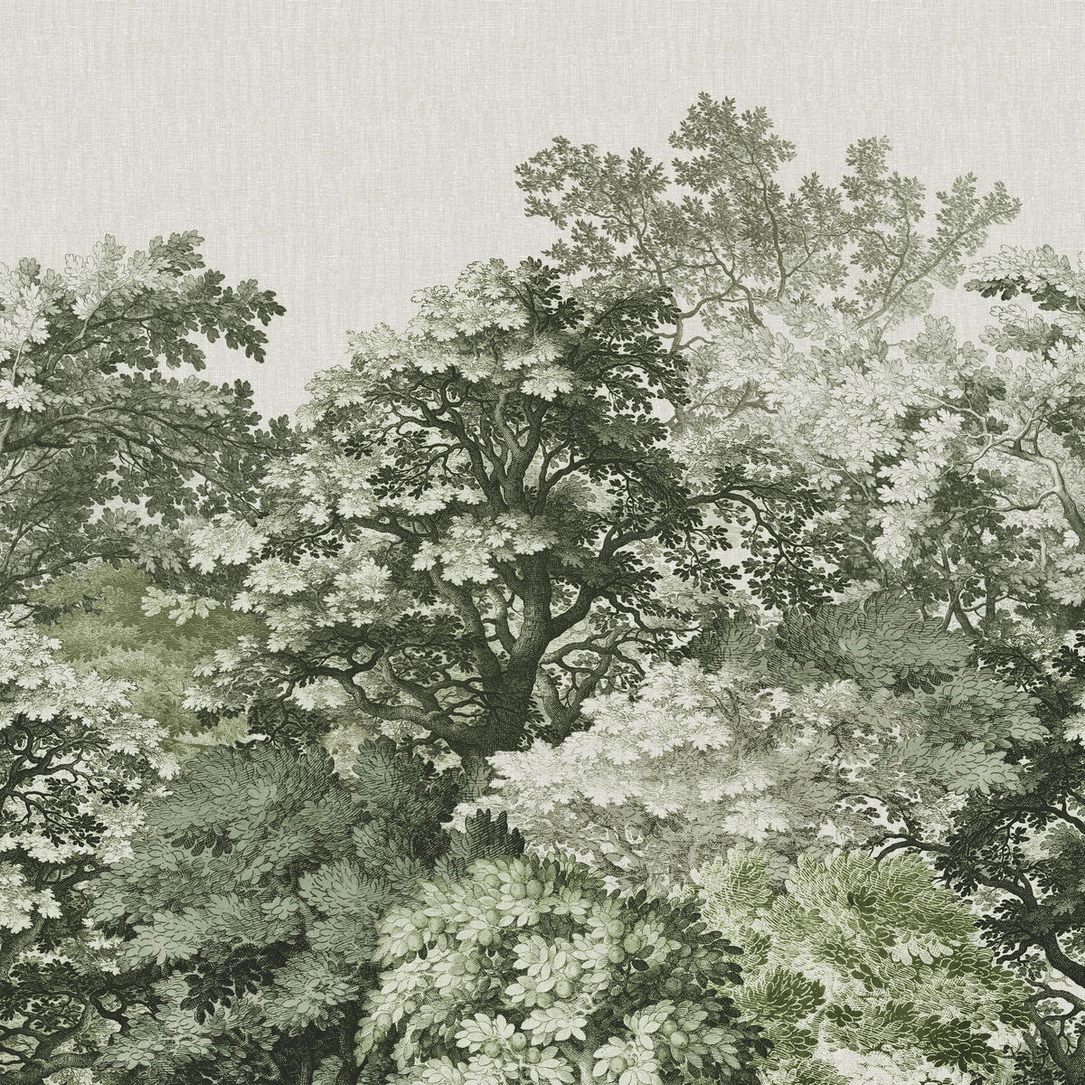 FOTOTAPETE Forest - Braun, Papier/Kunststoff (280/0.1cm) - Art for the Home