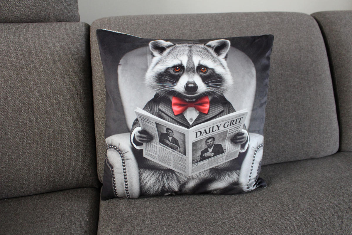 KISSENHÜLLE WASCHBÄR BILL Zeitung - Graubraun, Textil (45/45cm) - Yve! decoration