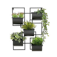KRÄUTERREGAL Wand Metall Schwarz 48/13/70 cm - Schwarz, Metall (48/70/13cm) - DanDiBo