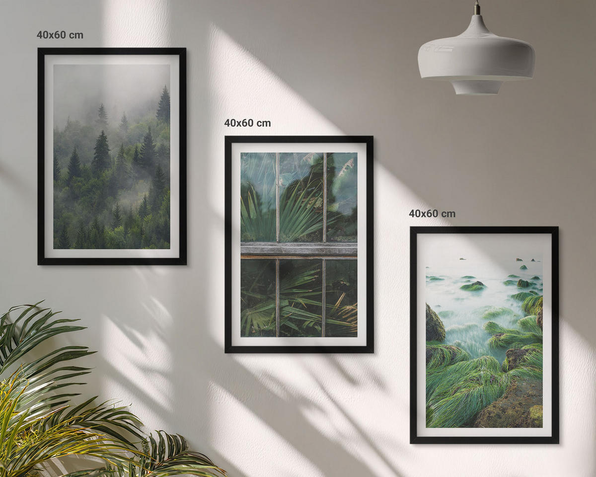 BILDER SET 3er Set - 40x60 cm Schwarzer Rahmen - Waldnebel, Flussufer, Gewächshaus - Schwarz, Kunststoff (40/60cm) - TULUP