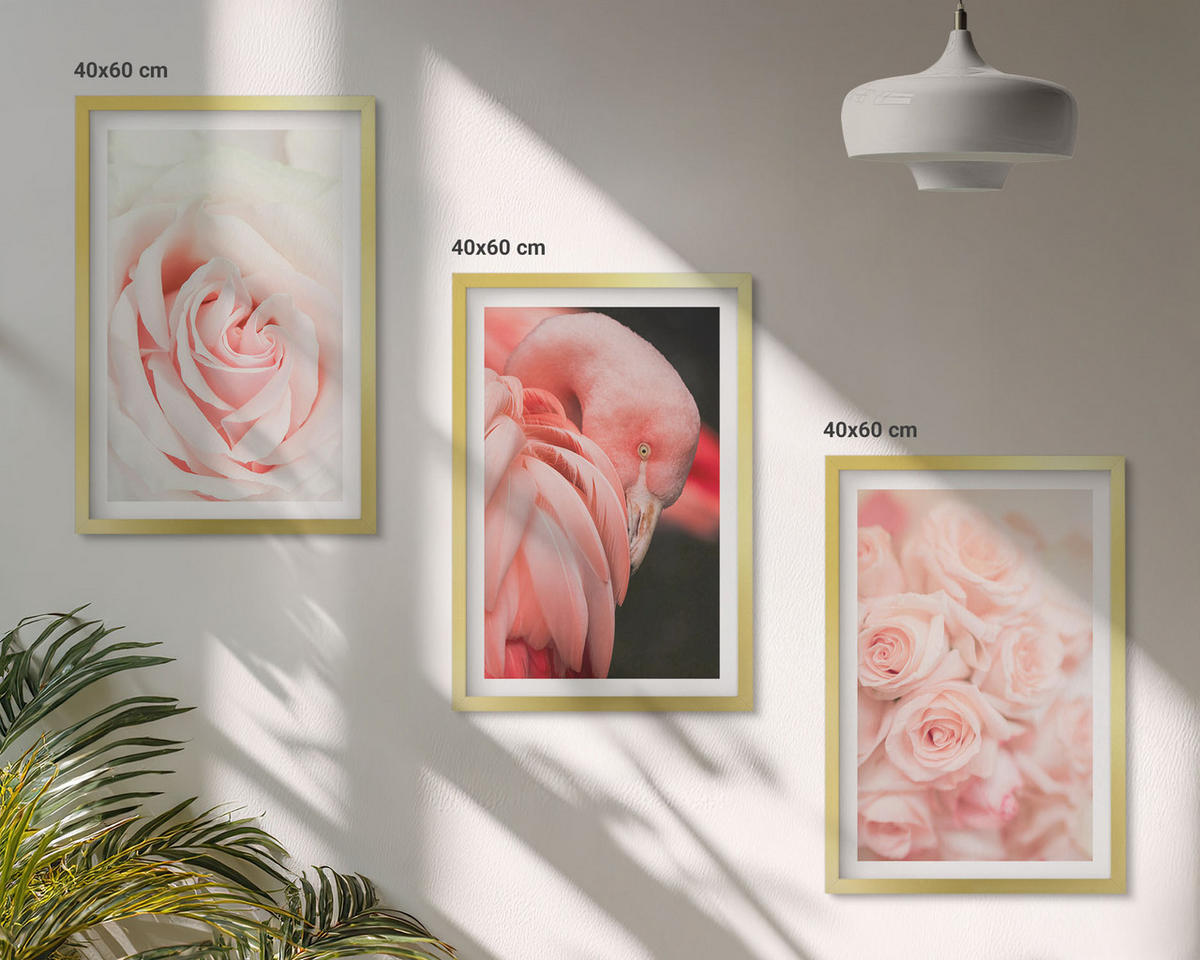 BILDER SET 3er Set - 40x60 cm Goldrahmen - Zartrosa Flamingos - Goldfarben, Kunststoff (40/60cm) - TULUP