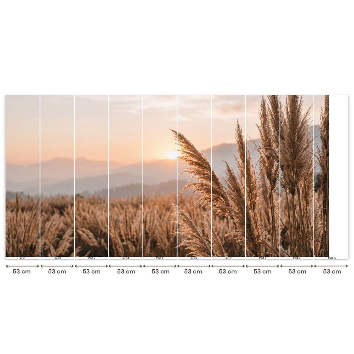 TAPETE - Gras - Feld - Sonne - Natur - 500x260 cm - Sandfarben, Papier (500/260cm) - OnlyWow