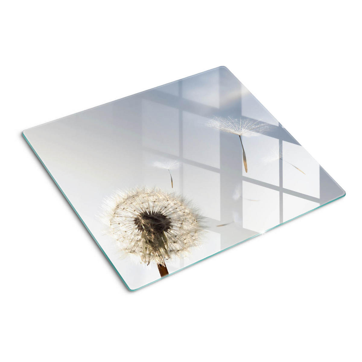 GLASPLATTE 60x52 cm Löwenzahn - Blau, Glas (60/0.4/52cm) - TULUP