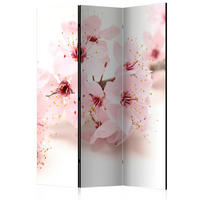 PARAVENT Einseitig Bedruckter 3-tlg 135x172 cm Kirschbl ten Natur - Rosa, Holz/Textil (135/172/3cm) - Muralo