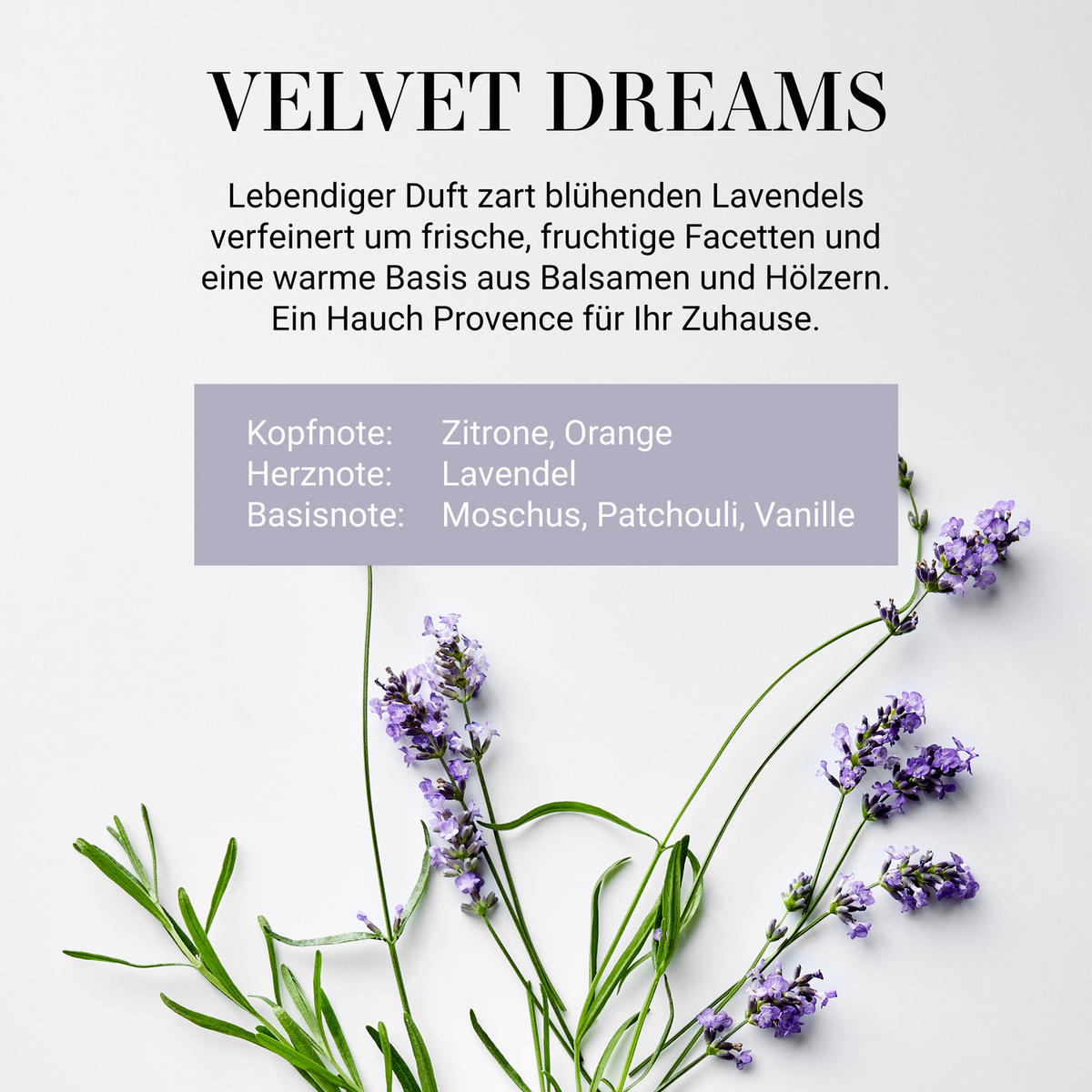 DUFTKERZE Home & Soul No. 3 Velvet Dreams - Violett, Holz/Paraffin (9cm) - Butlers
