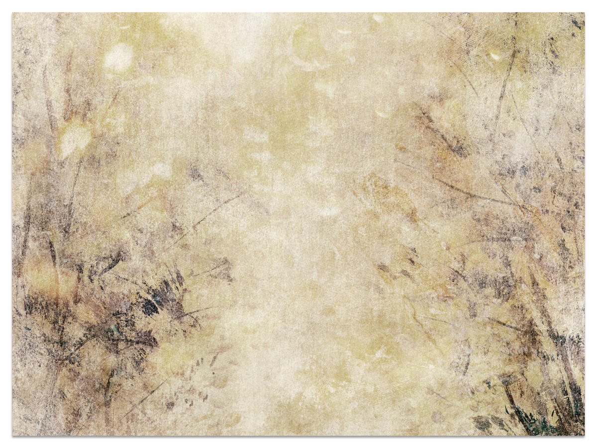 FOTOTAPETE Beton Abstraktion Retro Stil 200x140 - Beige/Braun, Papier (200/140cm) - Muralo